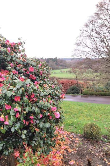 Modern Country Villa, Stunning Gardens And View Royal Tunbridge Wells Exterior foto